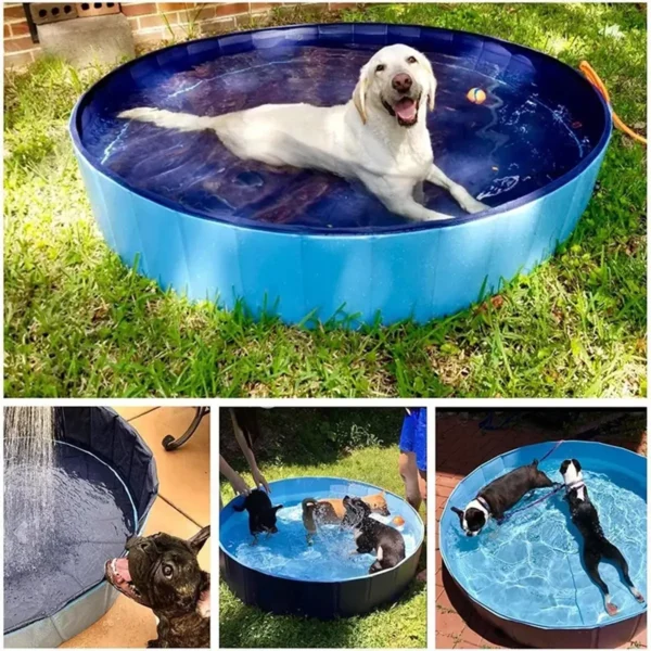 Verano Piscina Mascotas Y Niños 80x20