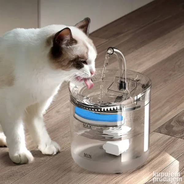 Dispensador De Agua Mascotas