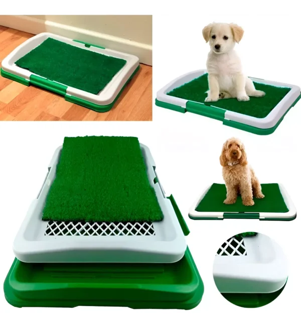 Baño Ecológico Y Portátil Para Perros