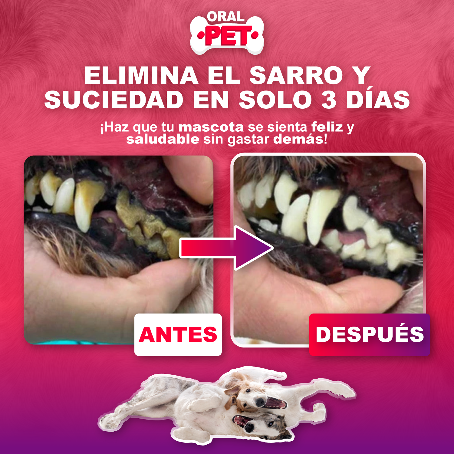 Oral Pet Spray Bucal Limpiador Mascotas - Imagen 2